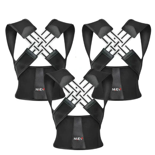 Zarvy Fitness Collection